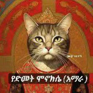 freedom - Свобода и новости