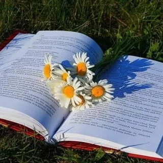 Читаем с Хонни - книги и отзывы