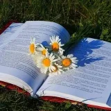 Reading with Honnie - books and reviews