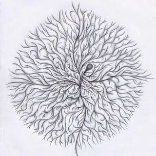 Mycelium Extraordinaire - кино музыка игры