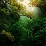 Paisaje natural - Fotos de animales