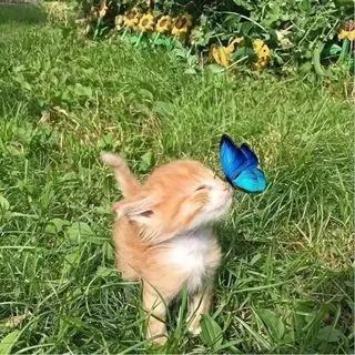 💌 - вход в чат