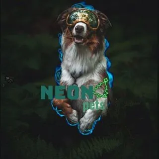 Nᴇᴏn_ᴩᴇᴛs.🐕🐈