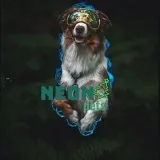 Nᴇᴏn_ᴩᴇᴛs.🐕🐈