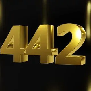 Network 442 - имена Telegram