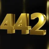 Network 442 - nombres Telegram