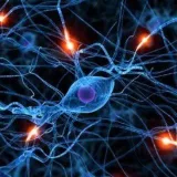 neurologyCollections2020 - Neurology