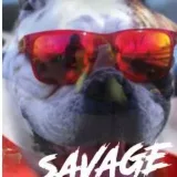 SQvQge Dawg - анализ паттернов