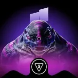 Nidum Arena - PvP Arena