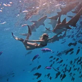 Ninel with Sharks 🦈 - путешествия и акулы