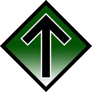Nordic Resistance Movement - скандинавский активизм