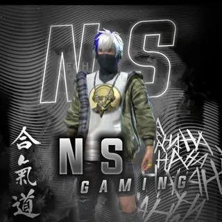 N.S Gaming - Заработок и промо