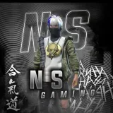 N.S Gaming- Ganancias y promociones