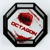 OCTAGON - martial arts news