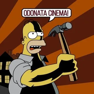 ODONATA GARAGE - процесс создания