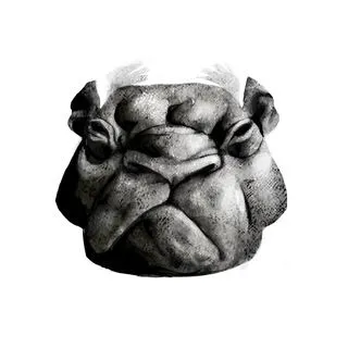 Old Old Animal - Старые животные