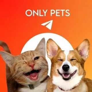 Only Pets - милые видео животных