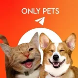 OnlyPets- Nice animal videos.