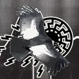 Operation Kondor - white music