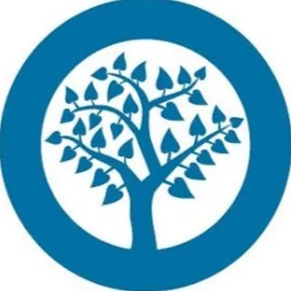 Observer Research - независимый анализ