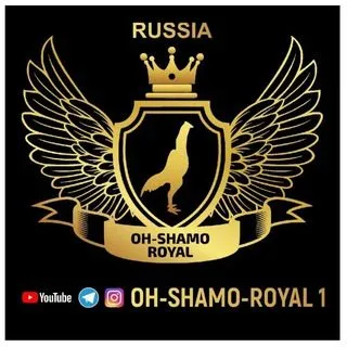 OH-SHAMO-ROYAL 1