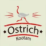 Avestruz Kootam - anuncios y noticias