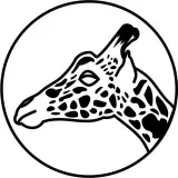 Imagen a pegatinas - pegatinas