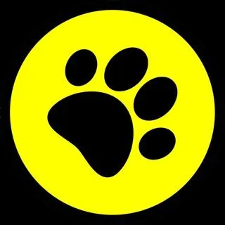 PABLO NEWS 18+ - Новости интернета