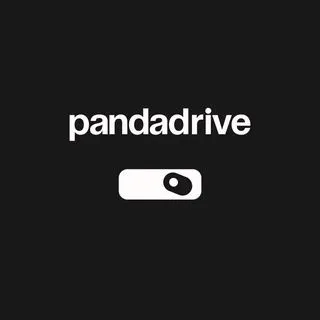 Panda Drive - авто из Китая