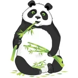 Panda Quiz - prueba