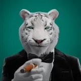 Panthers - пантера игра