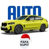 PAPA KUPIT - subastas Copart