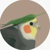 parrots- cute parrots.🐦