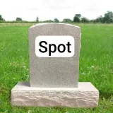 R.I.P Spot - Obituaries and memory