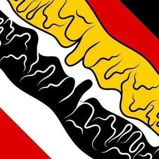 Patriotische Stimme - патриоты Германии