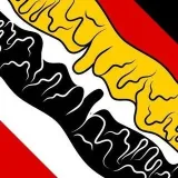 Patriotische Stimme - патриоты Германии
