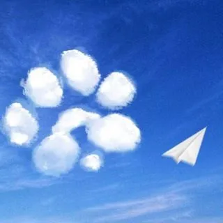 PAWS COMMUNITY NEWS - коды игр