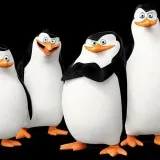 Pingüinos de Madagascar- Caricaturas.