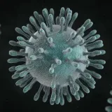 El virus de la PHCorona actualizaCOVID