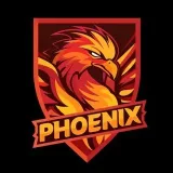 PHOENIX phygital - фиджитал-футбол