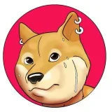 FisicoDoge - airdrop DOGE