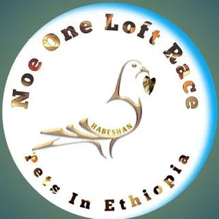 ℕ𝕆𝔼 𝕃𝕆𝔽𝕋 🇪🇹