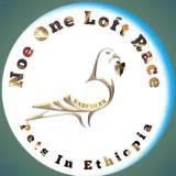 ℕ𝕆𝔼 𝕃𝕆𝔽𝕋 🇪🇹