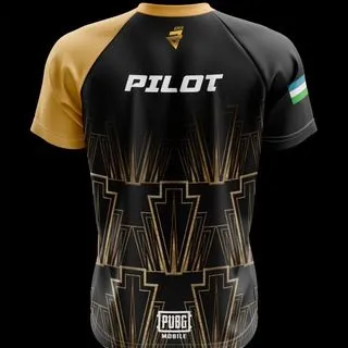 PILOT PUBGM - Про игрок