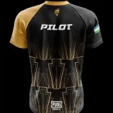 PILOTPUBGM - About the player