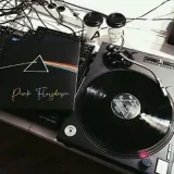 Floydismo rosa-pinkFloyd