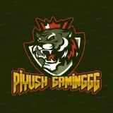 PIYUSHgg HACK- gaming hacks