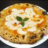 PIZZANETWORK- mundo de pizza.