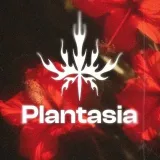 Eventos de Plantasia LOUNGE