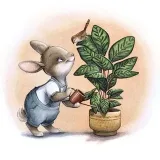 Planty_ka🌱